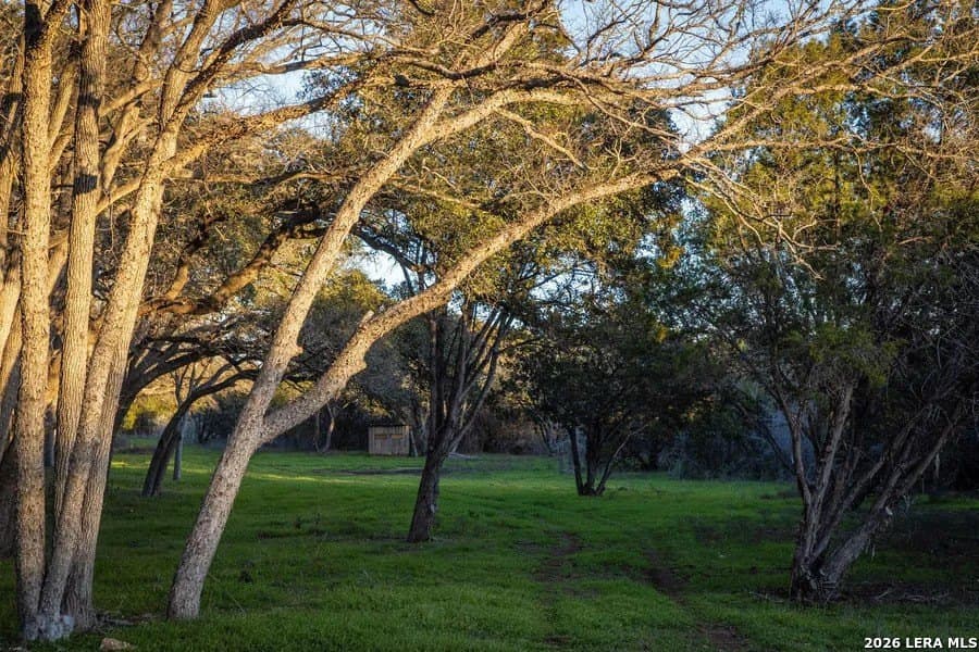 75 acres in Comal County - photo 6