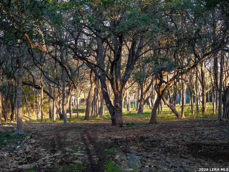 75 acres in Comal County - photo 18
