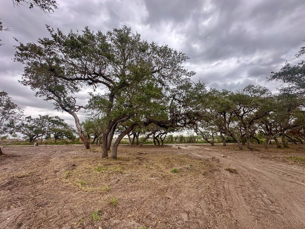 7.75 acres in Texas County - photo 11