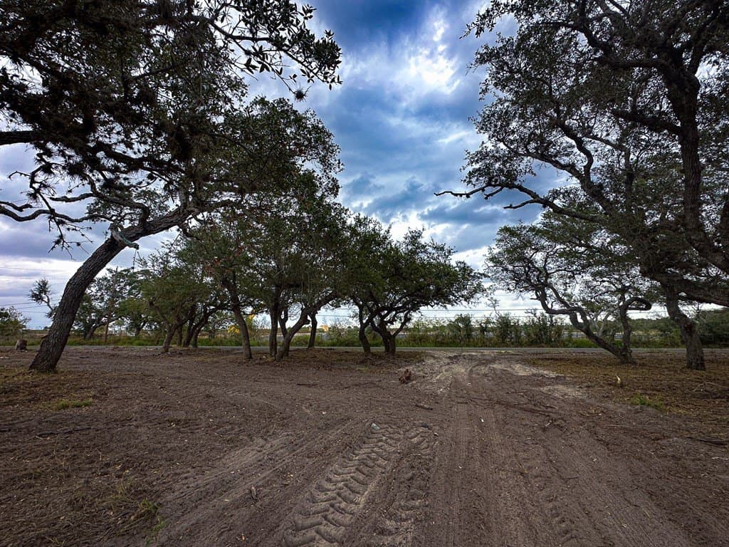 7.75 acres in Texas County - photo 12