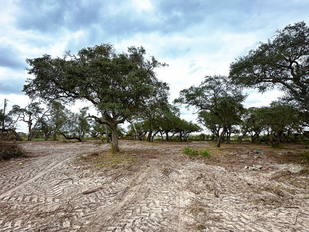 7.75 acres in Texas County - photo 9