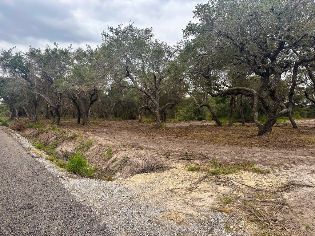7.75 acres in Texas County - photo 7