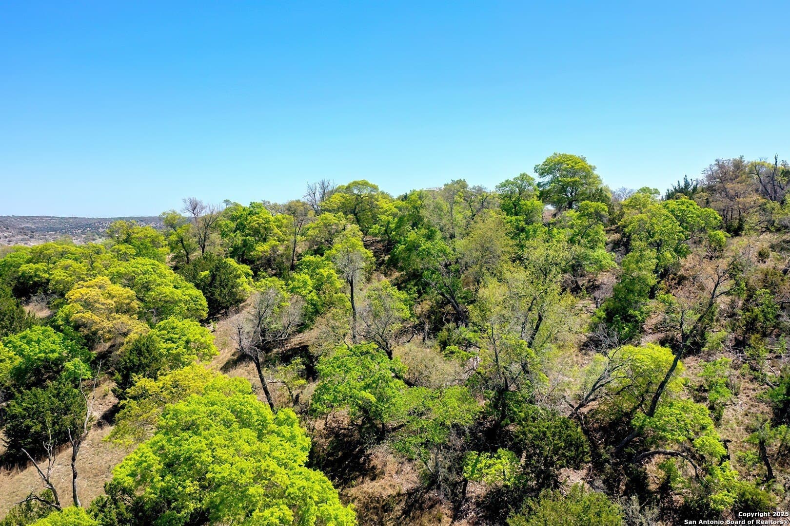 3.99 acres in Kerr County gallery image 4