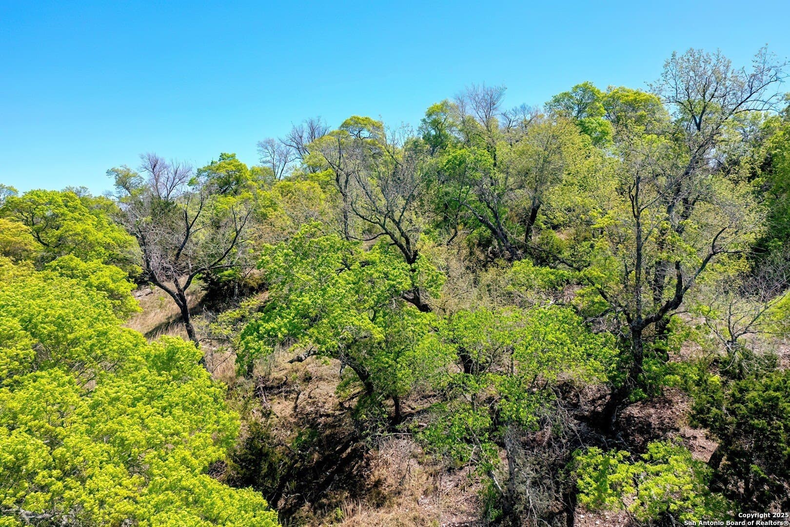 3.99 acres in Kerr County - photo 9