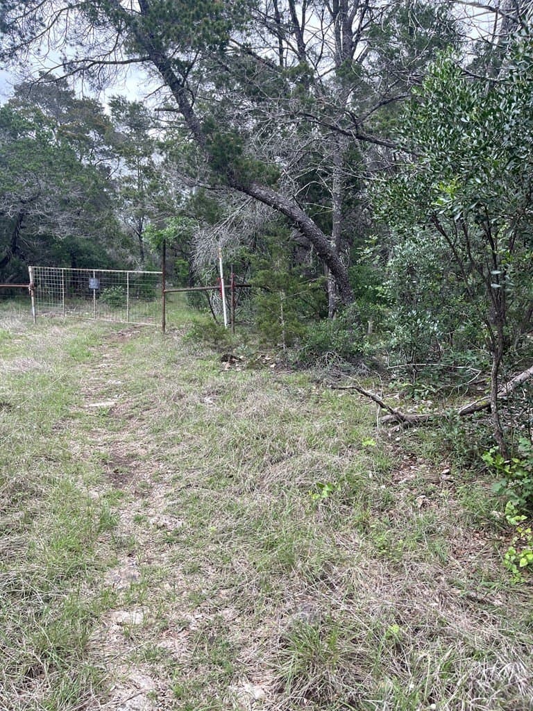 20.32 acres in Real County gallery image 3