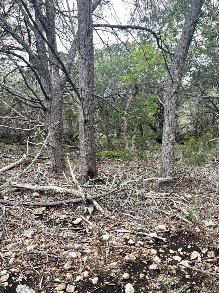 20.32 acres in Real County - photo 44