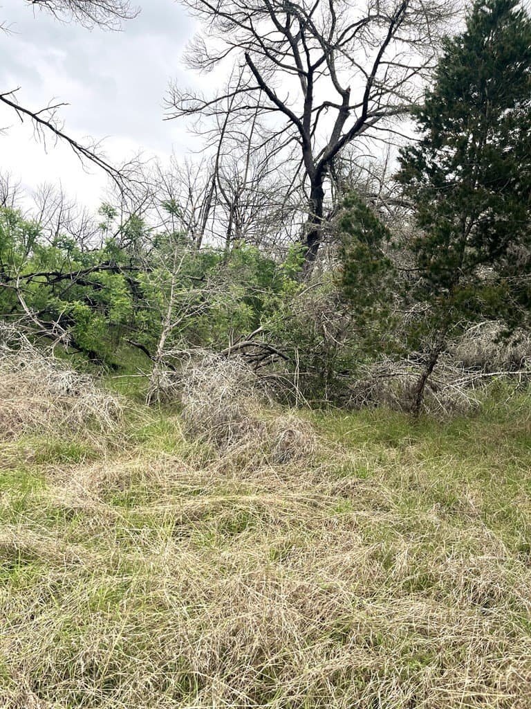 20.32 acres in Real County - photo 37