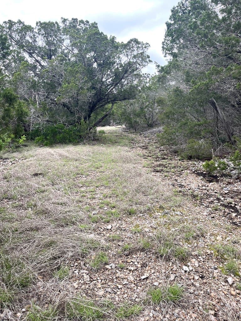20.32 acres in Real County - photo 41