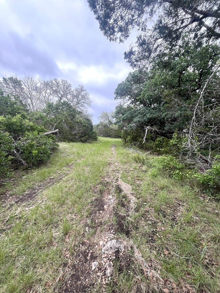 20.32 acres in Real County - photo 6