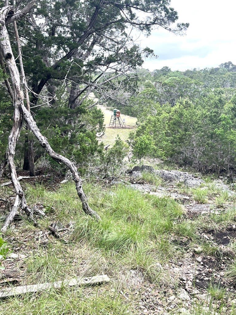 20.32 acres in Real County - photo 54