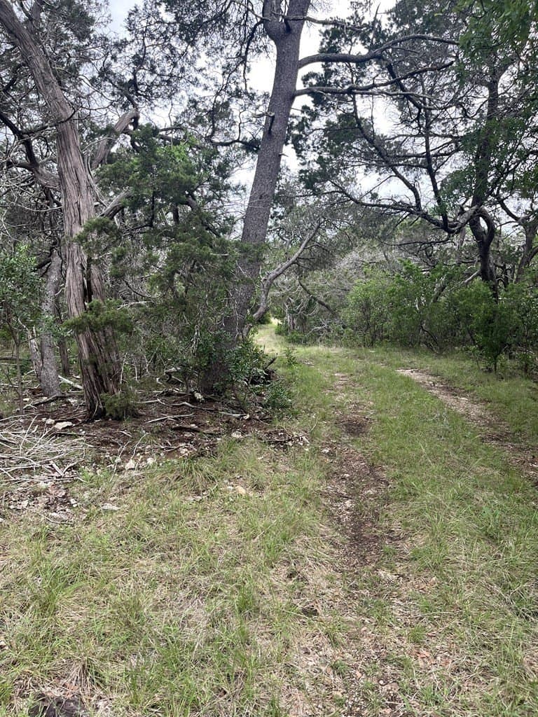 20.32 acres in Real County gallery image 2