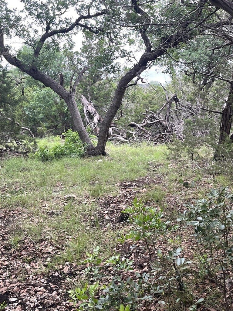 20.32 acres in Real County - photo 53