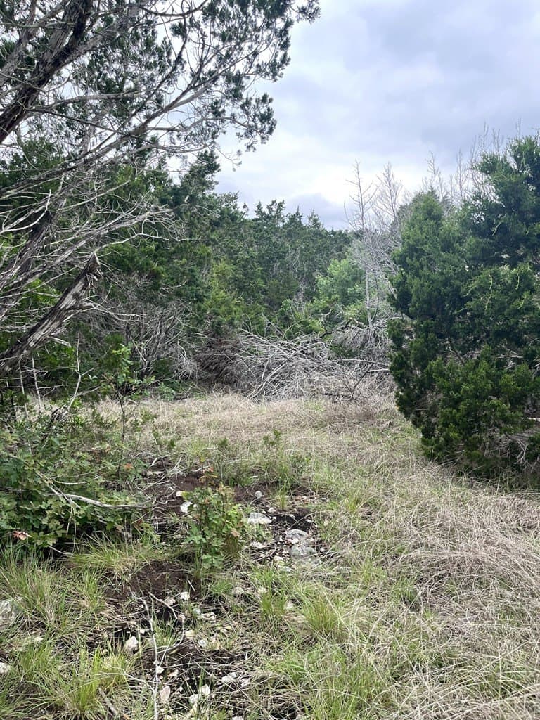 20.32 acres in Real County - photo 39