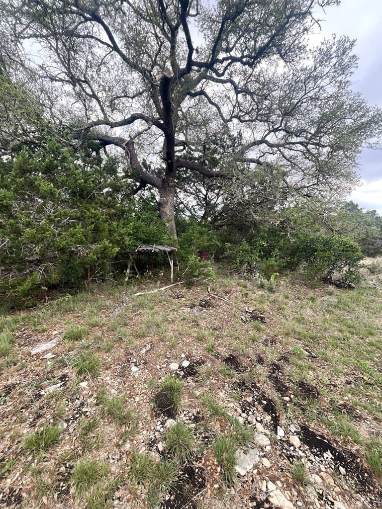 20.32 acres in Real County - photo 9
