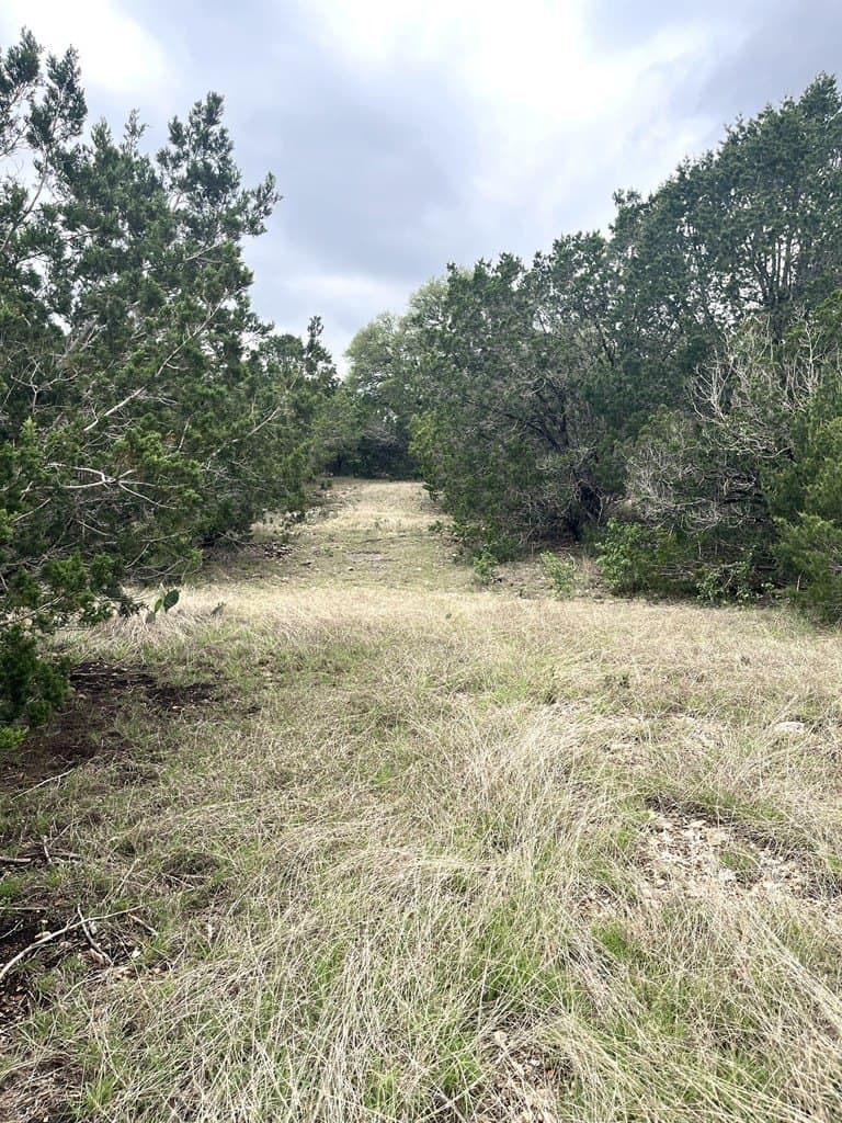 20.32 acres in Real County - photo 16