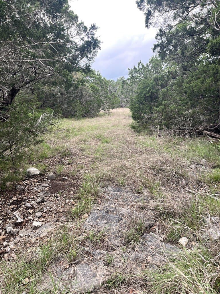 20.32 acres in Real County - photo 45