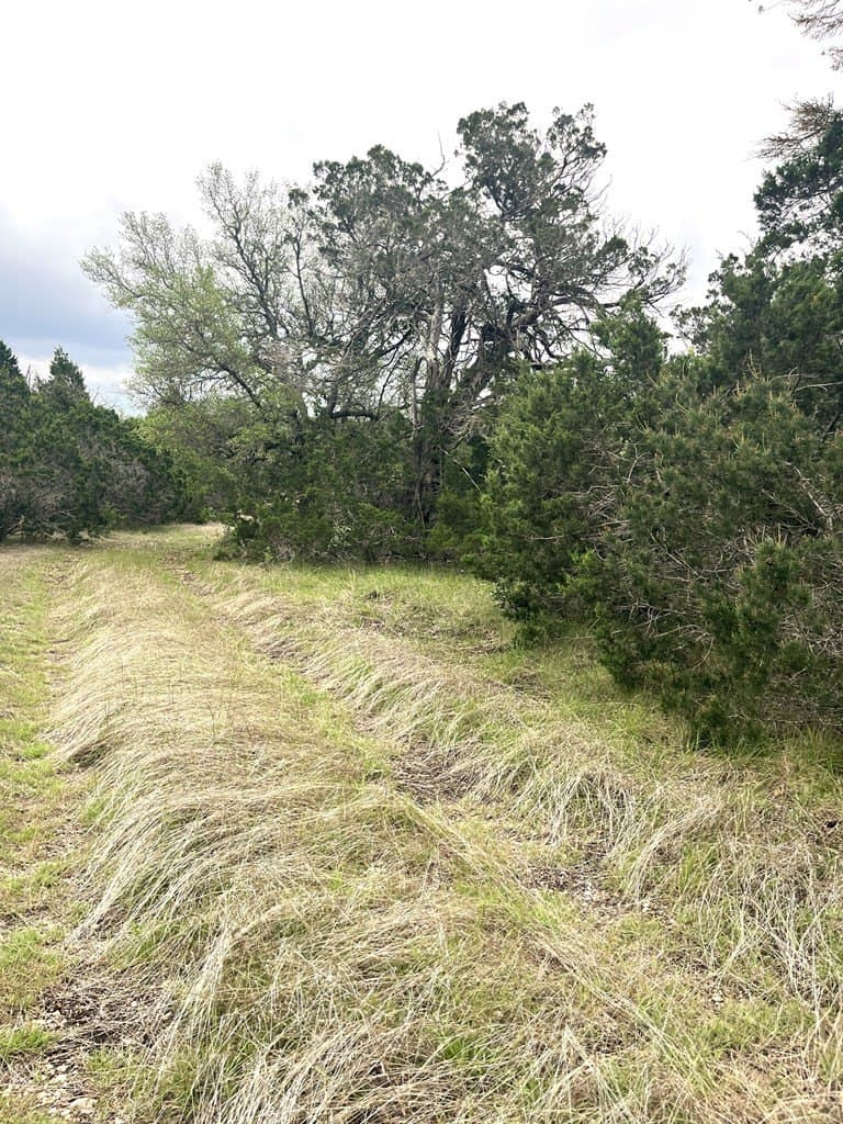 20.32 acres in Real County - photo 15