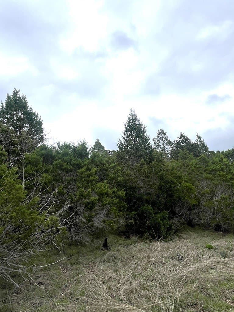 20.32 acres in Real County - photo 23