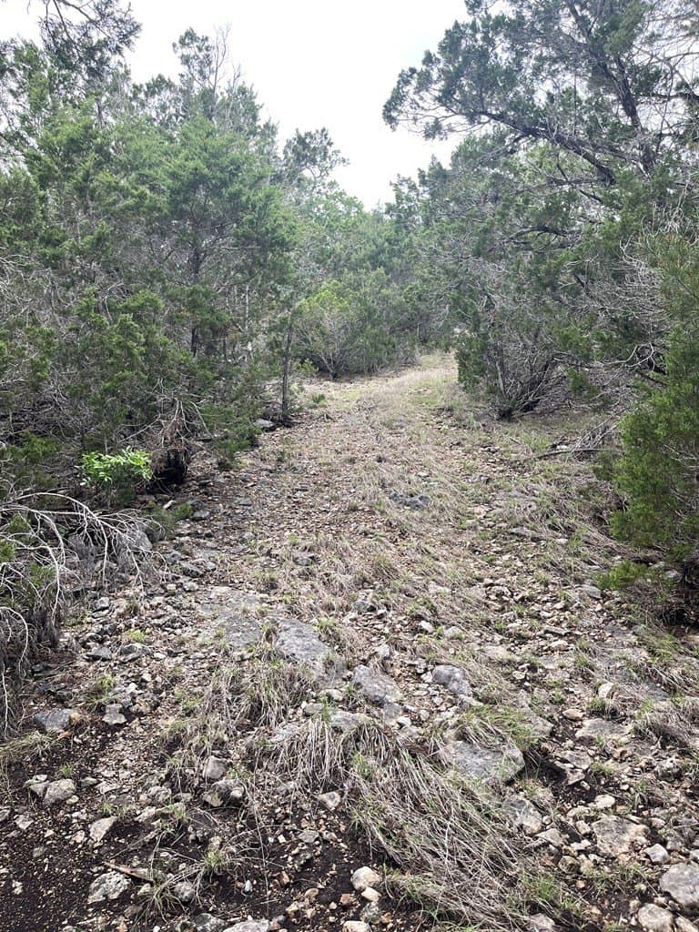 20.32 acres in Real County - photo 33