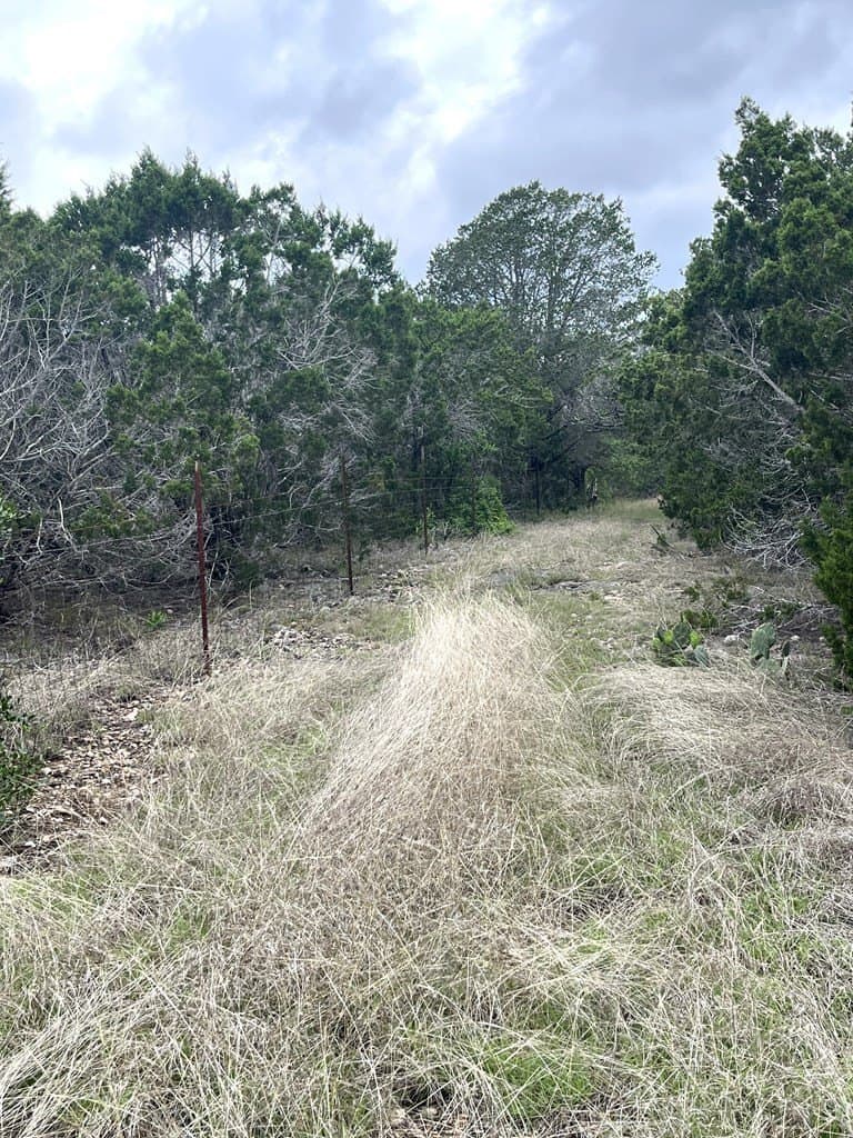 20.32 acres in Real County - photo 57