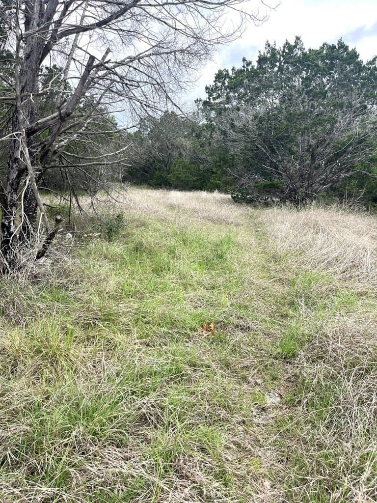 20.32 acres in Real County - photo 38