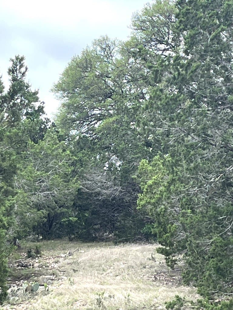 20.32 acres in Real County - photo 17