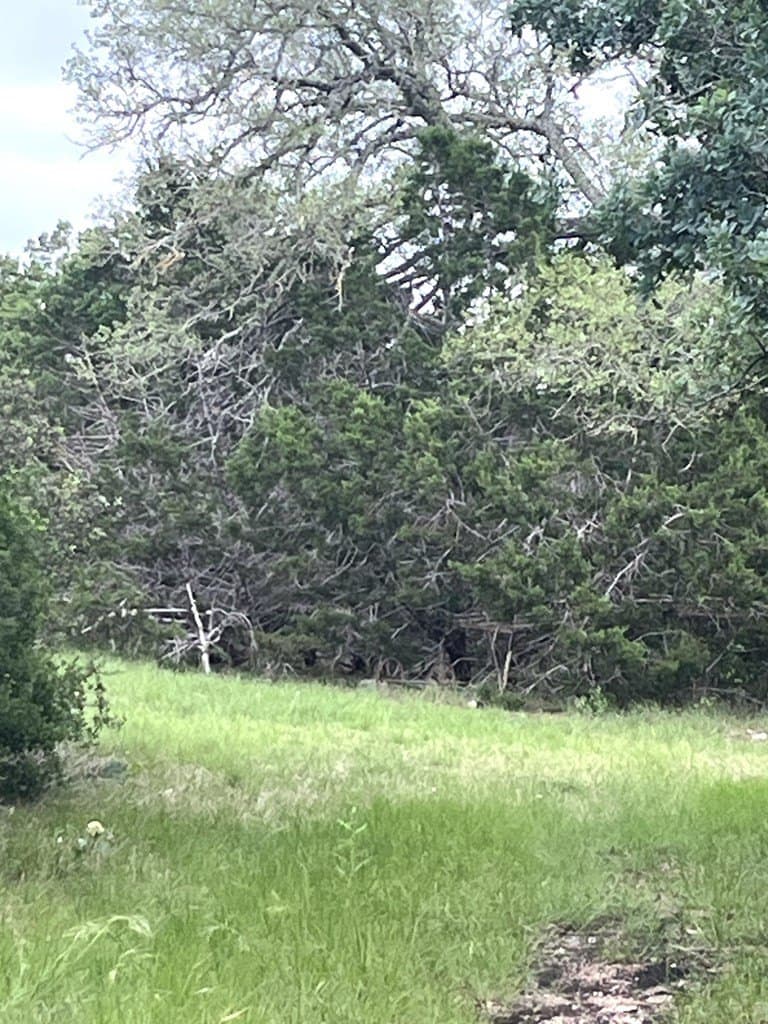 20.32 acres in Real County - photo 7