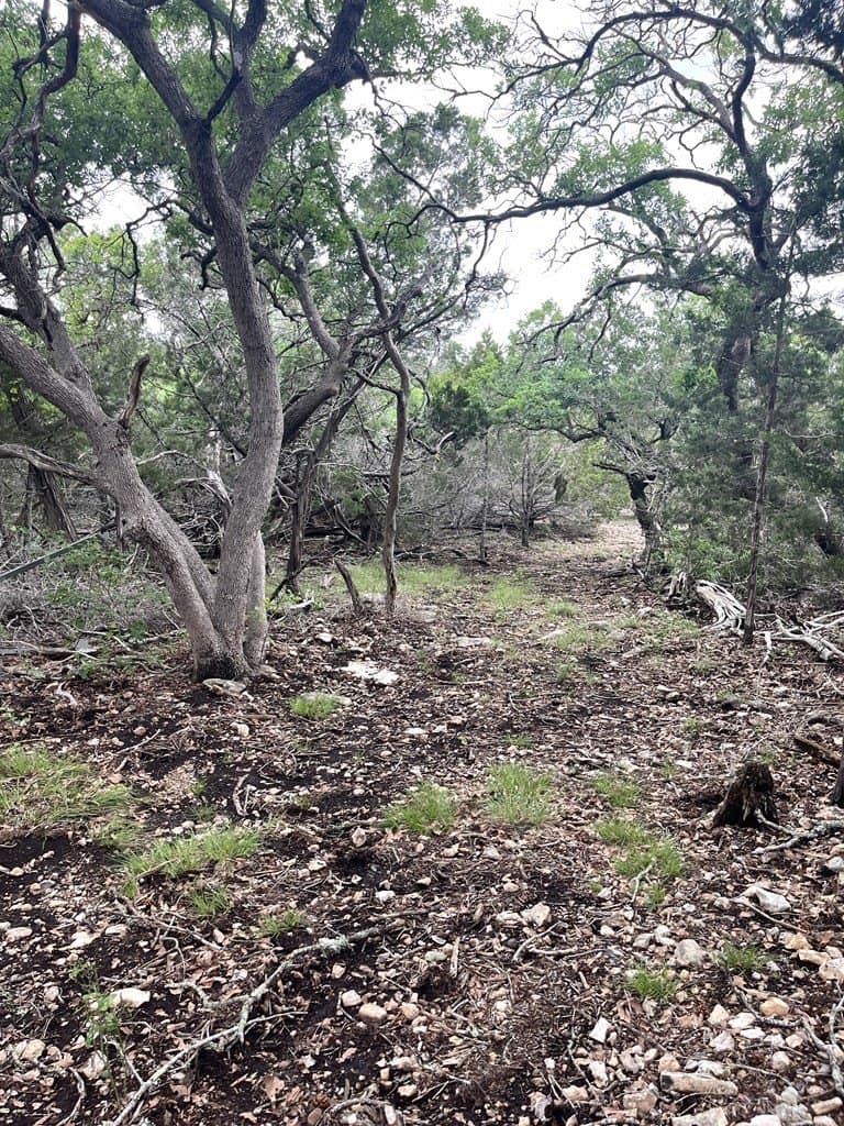 20.32 acres in Real County - photo 43