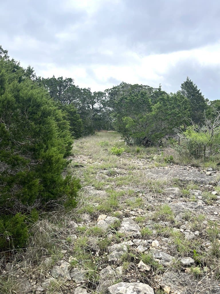 20.32 acres in Real County - photo 50
