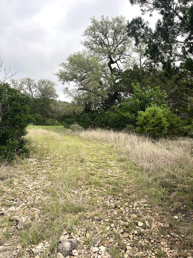 20.32 acres in Real County - photo 13