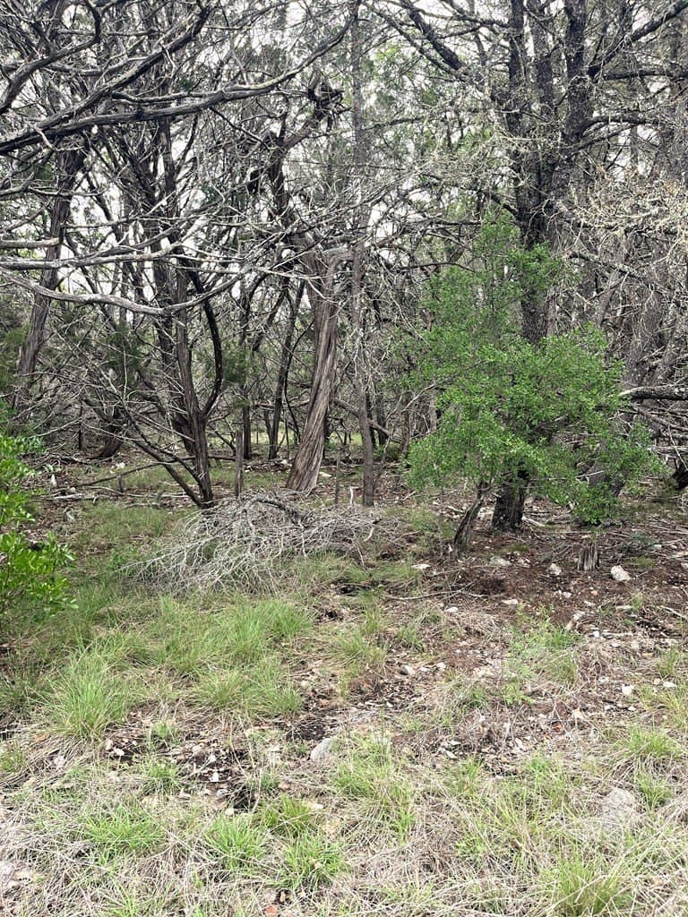 20.32 acres in Real County - photo 46