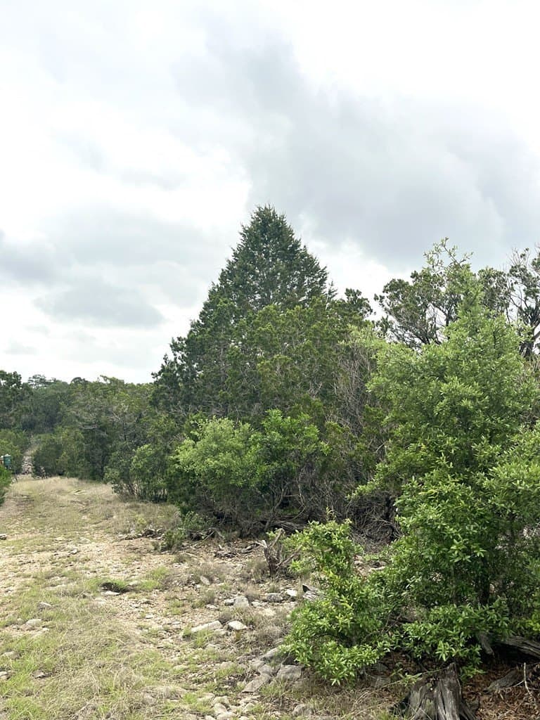 20.32 acres in Real County - photo 28