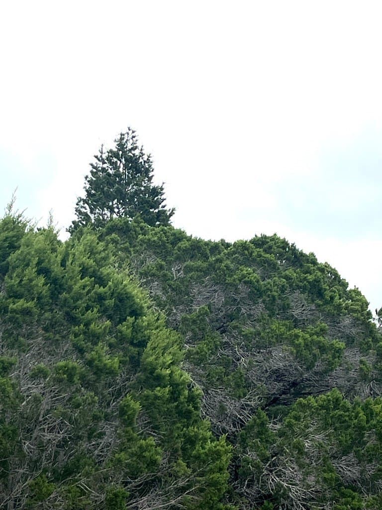 20.32 acres in Real County - photo 24