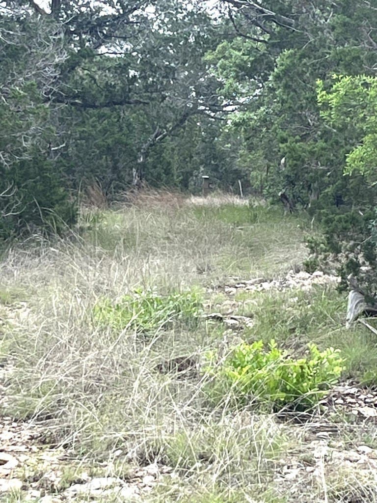 20.32 acres in Real County - photo 51