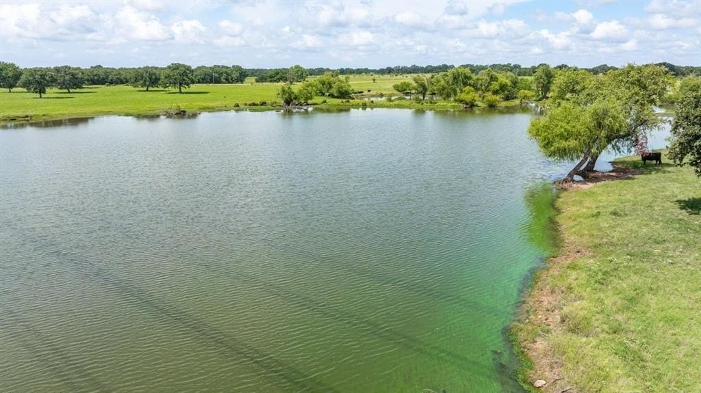 91.95 acres in Comanche County gallery image 4