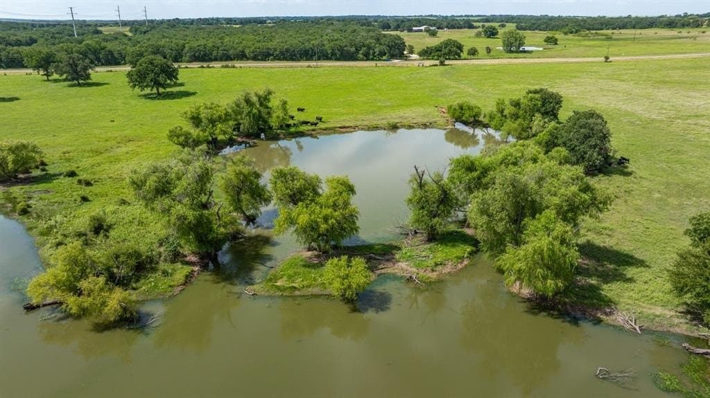 91.95 acres in Comanche County gallery image 3