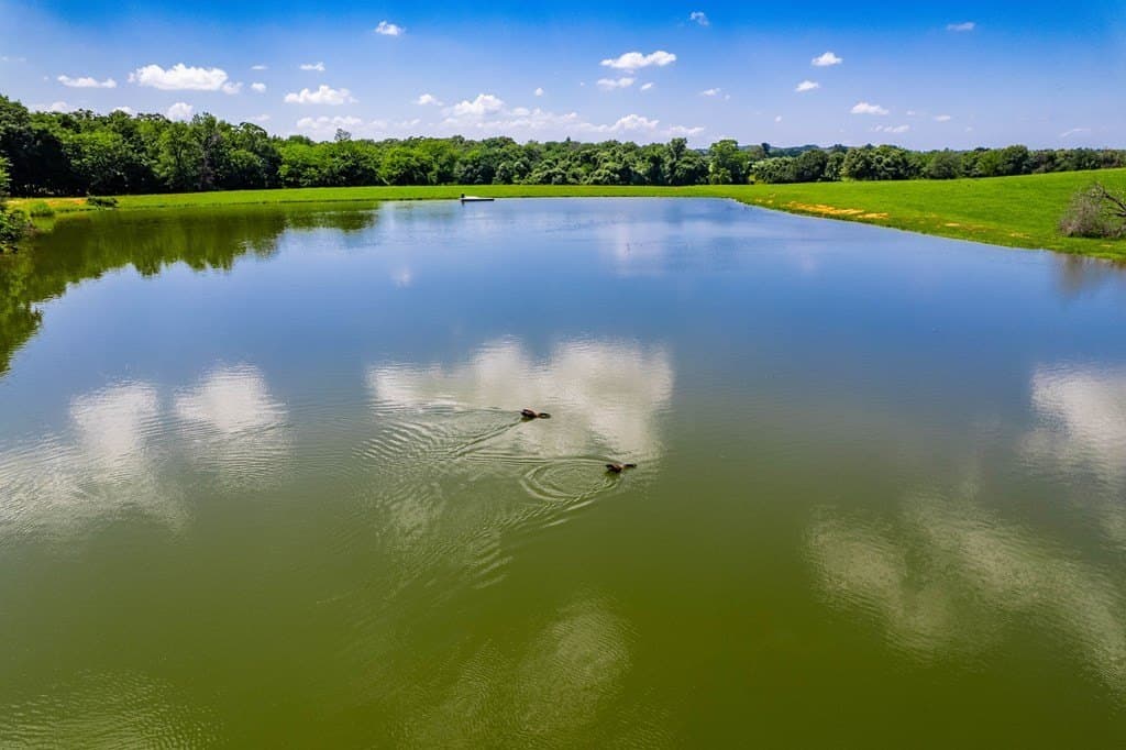 50.03 acres in Henderson County featured view