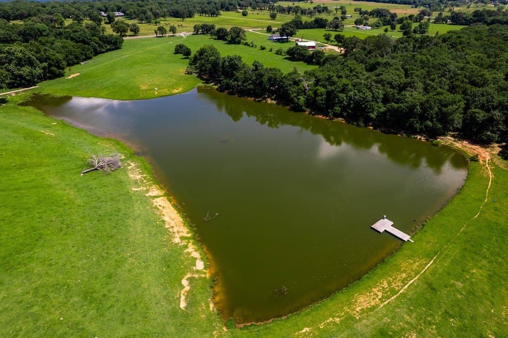 50.03 acres in Henderson County - photo 11