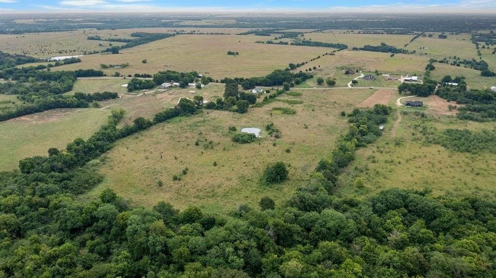 20 acres in Lamar County gallery image 3