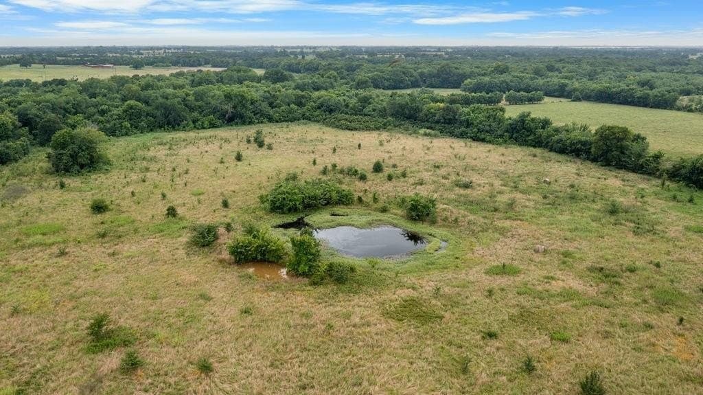 20 acres in Lamar County gallery image 2