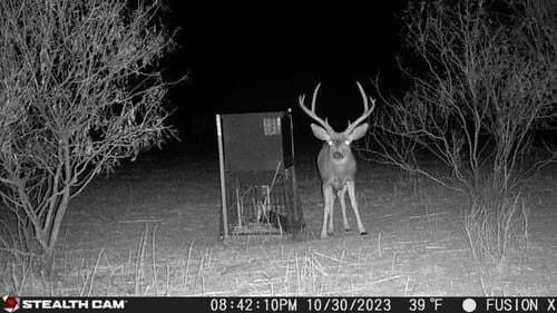 173 acres in Hall County - photo 7