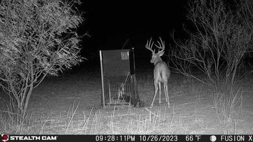 173 acres in Hall County - photo 8