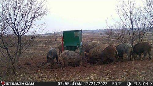 173 acres in Hall County - photo 9