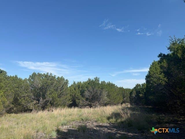 10.06 acres in Lampasas County - photo 20