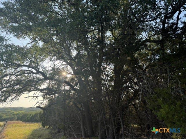 10.06 acres in Lampasas County gallery image 3
