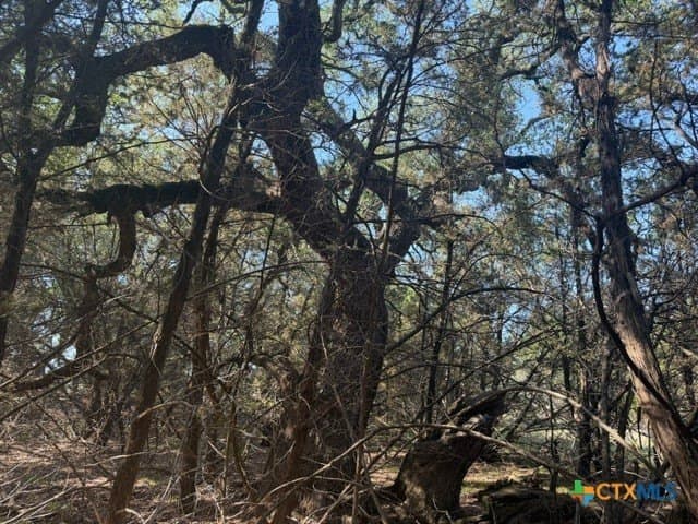 10.06 acres in Lampasas County featured view