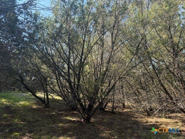10.06 acres in Lampasas County - photo 21