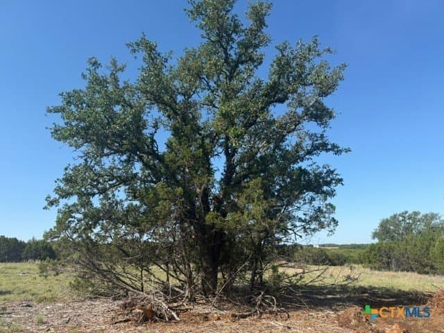 10.06 acres in Lampasas County - photo 19