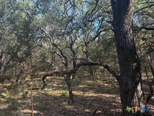 10.06 acres in Lampasas County - photo 6