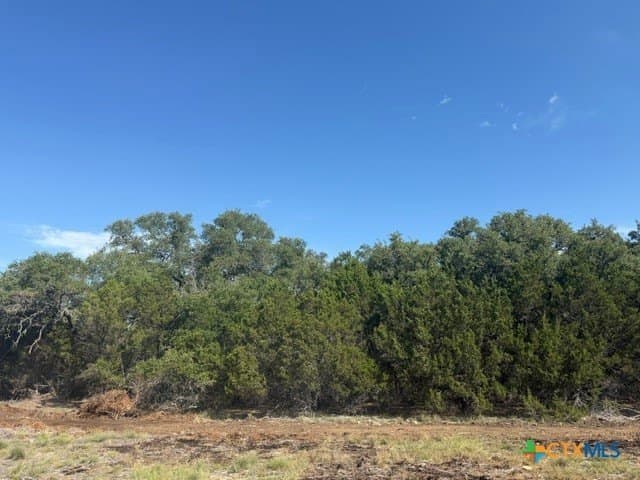 10.06 acres in Lampasas County - photo 13